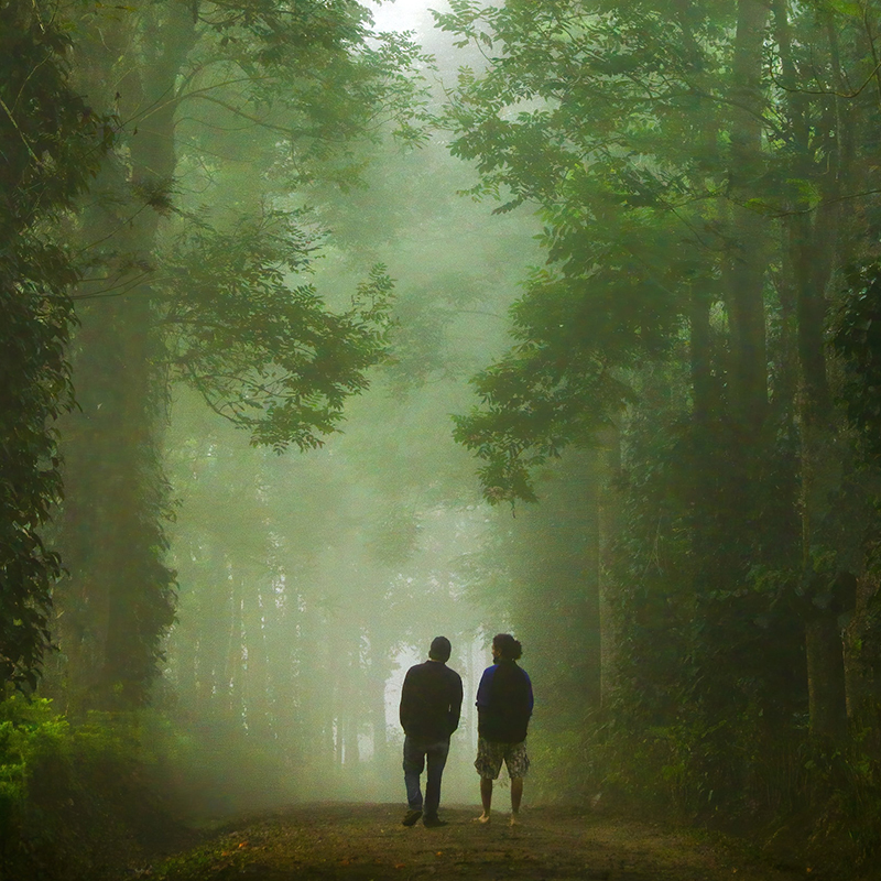 Nature-walks