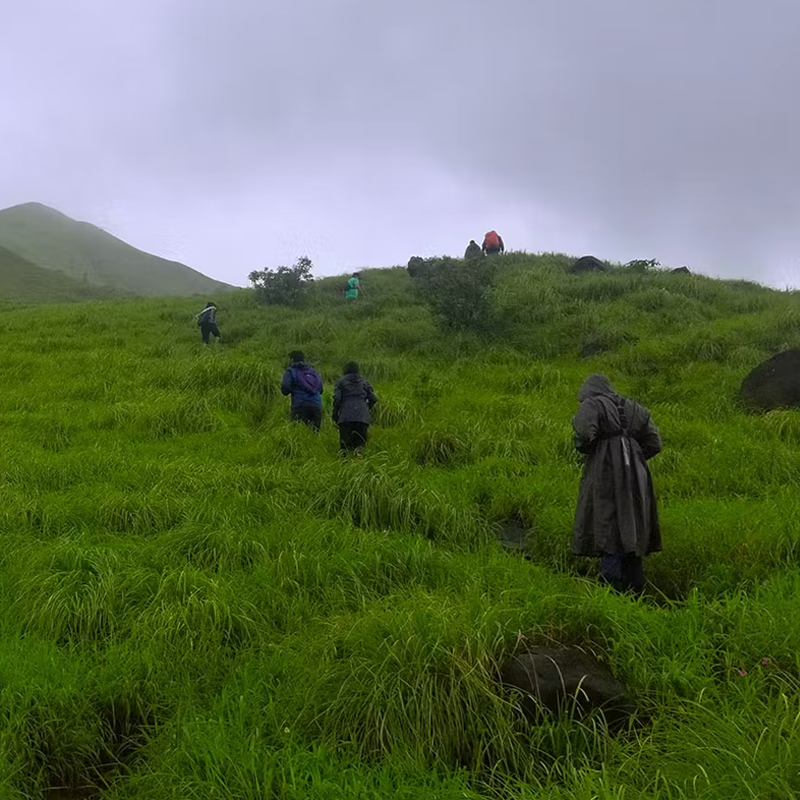 Pushpagiri Trek