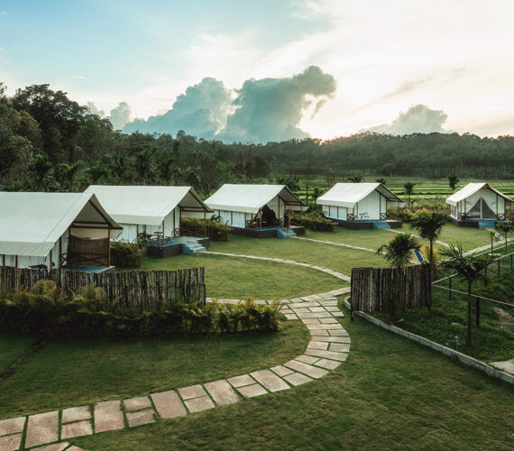 Immerse Yourself in Coorg’s Beauty at Redberry’s Luxury Stay