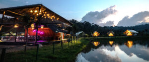Red Berrys Stay Coorg