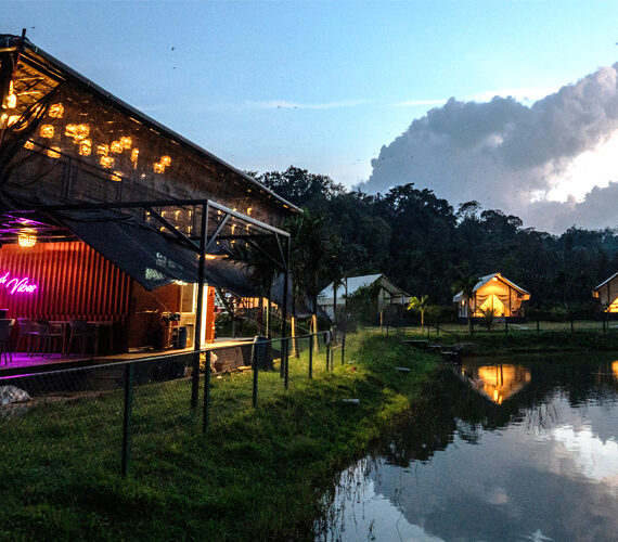 Best Resorts in Coorg – Red Berrys Stay Coorg