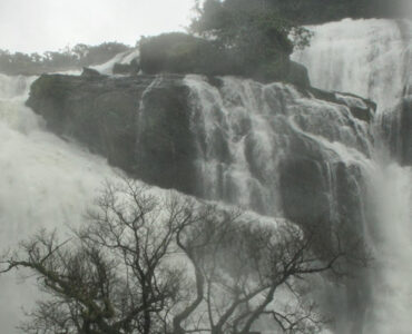 Best Monsoon Packages in Coorg with Red Berry Luxury Stay