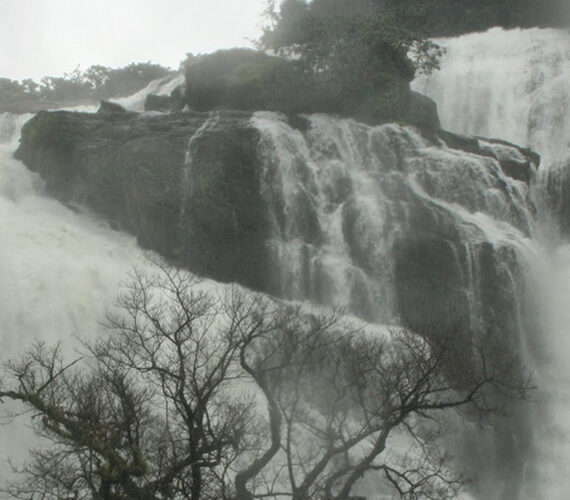 Best Monsoon Packages in Coorg with Red Berry Luxury Stay